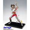 Saint Cloth Myth EX Stage (Base Negra)