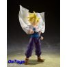 Super Saiyan Son Gohan - THE WARRIOR WHO SURPASSED GOKU - S.H.Figuarts