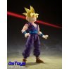 Super Saiyan Son Gohan - THE WARRIOR WHO SURPASSED GOKU - S.H.Figuarts
