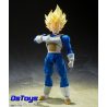 Super Saiyan Vegeta - Awakened Super Saiyan Blood - S.H.Figuarts