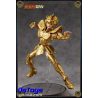 Aioria de Leo Saint Seiya Champion Class - Blokees
