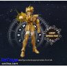 Aioria de Leo Saint Seiya Champion Class - Blokees