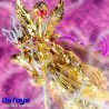 Opyx Odysseus Saint Cloth Myth EX - Saint Seiya