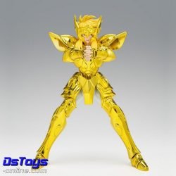Hyoga de Acuario - Inheritor of the Gold Cloth - Saint Cloth Myth EX