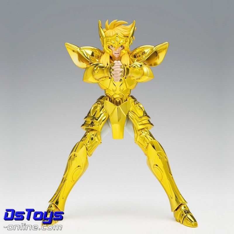 AQUARIUS HYOGA - Inheritor of the Gold Cloth - Saint Cloth Myth EX AQUARIUS HYOGA - Inheritor of the Gold Cloth - Saint Cloth Myth EX