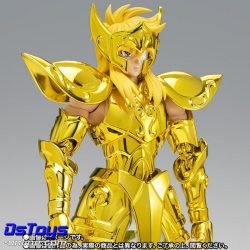 AQUARIUS HYOGA - Inheritor of the Gold Cloth - Saint Cloth Myth EX