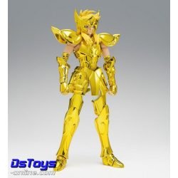 AQUARIUS HYOGA - Inheritor of the Gold Cloth - Saint Cloth Myth EX