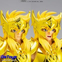AQUARIUS HYOGA - Inheritor of the Gold Cloth - Saint Cloth Myth EX