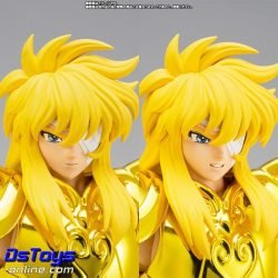 AQUARIUS HYOGA - Inheritor of the Gold Cloth - Saint Cloth Myth EX