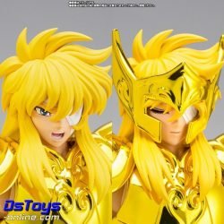 AQUARIUS HYOGA - Inheritor of the Gold Cloth - Saint Cloth Myth EX