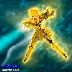 Hyoga de Acuario - Inheritor of the Gold Cloth - Saint Cloth Myth EX