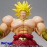 BROLY -40th Anniversary Reissue Edition- Dragon Ball Z S.H Figuarts
