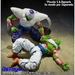 Nail Dragon Ball Z S.H Figuarts