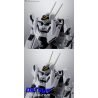HI-METAL R VF-0S PHOENIX (Roy Focker Use) + QF-2200D-B GHOST Macross Zero