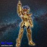 Saint Seiya Galaxy Version 03 Gold Zodiac - Blokees