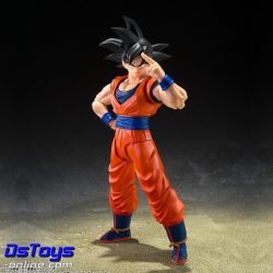 Son Goku - The Kind-hearted Saiyan - Dragon Ball Z S.H.Figuarts