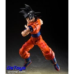 Son Goku - The Kind-hearted Saiyan - Dragon Ball Z S.H.Figuarts