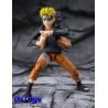 Naruto Uzumaki The Power To Unite - Naruto Shippuden S.H.Figuarts Bandai