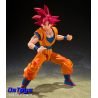 Super Saiyan God Son Goku - God Aura - Dragon Ball Super S.H.Figuarts