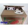 Alcancía Electrónica de Gato - Mischief Saving Box Strawberry Resurtido